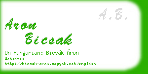 aron bicsak business card